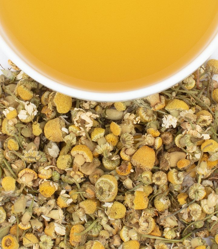 A cup of golden chamomile tea above a scatter of dried chamomile flowers