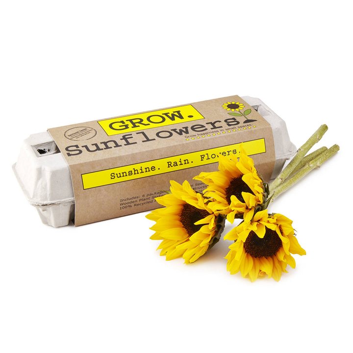 Kraft-paper sunflower grow kit in an egg carton beside three fresh sunflowers