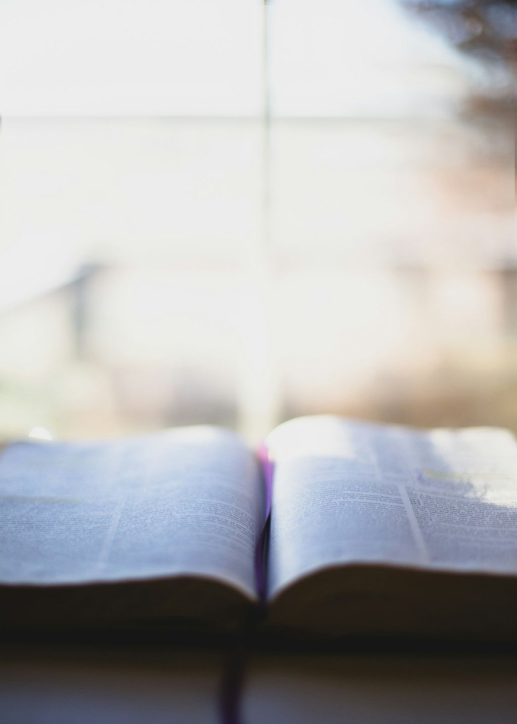 An open book in warm light